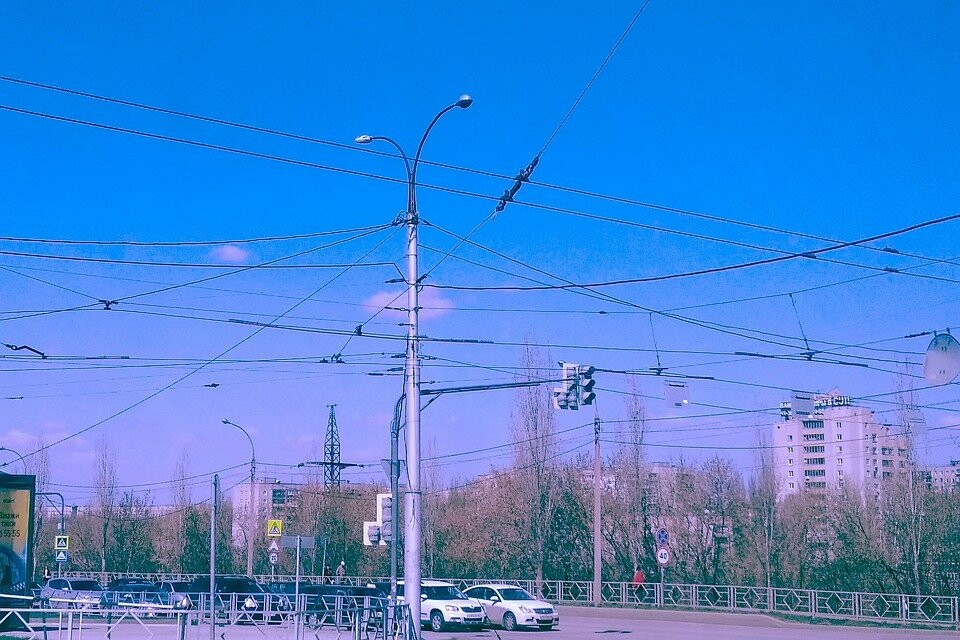 Картина дня Черноземья в обзоре Go68.ru, фото-3