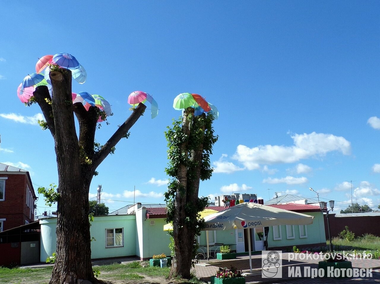 В Котовске дерево «расцвело» зонтами, фото-1