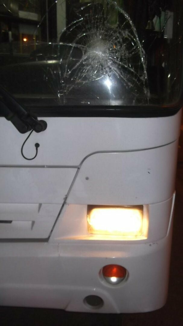 В Тамбове автобус сбил подростка на пешеходном переходе, фото-1