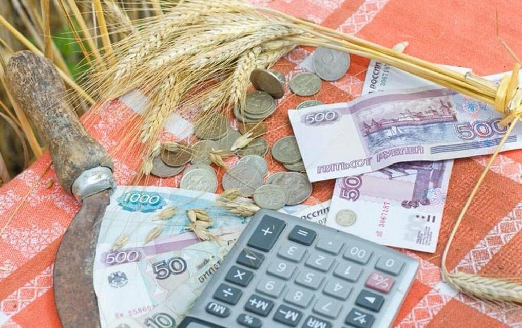 На развитие сельского хозяйства Тамбовщина получит почти миллиард рублей, фото-1