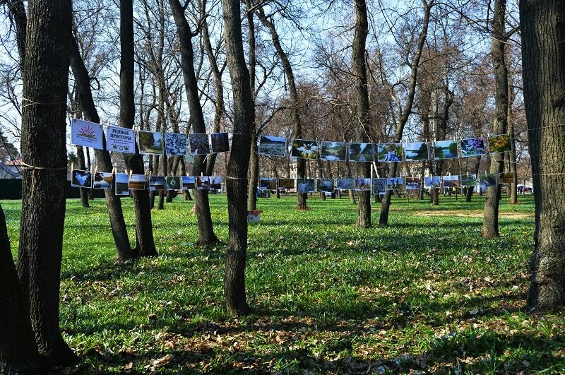 Фотообзор: праздник первоцвета в Знаменке, фото-8