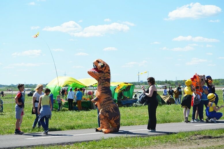 Тысячи тамбовчан посетили аэрофестиваль в Мичуринске, фото-9
