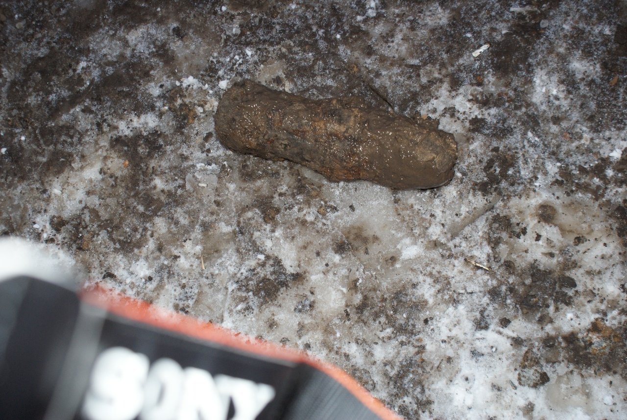 В Тамбовском районе нашли артиллерийский снаряд, фото-3