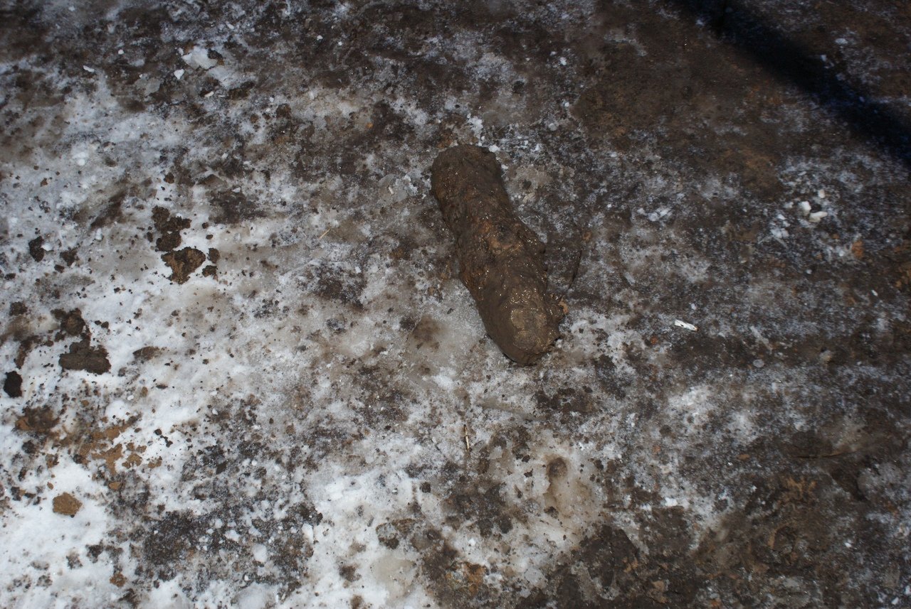 В Тамбовском районе нашли артиллерийский снаряд, фото-4