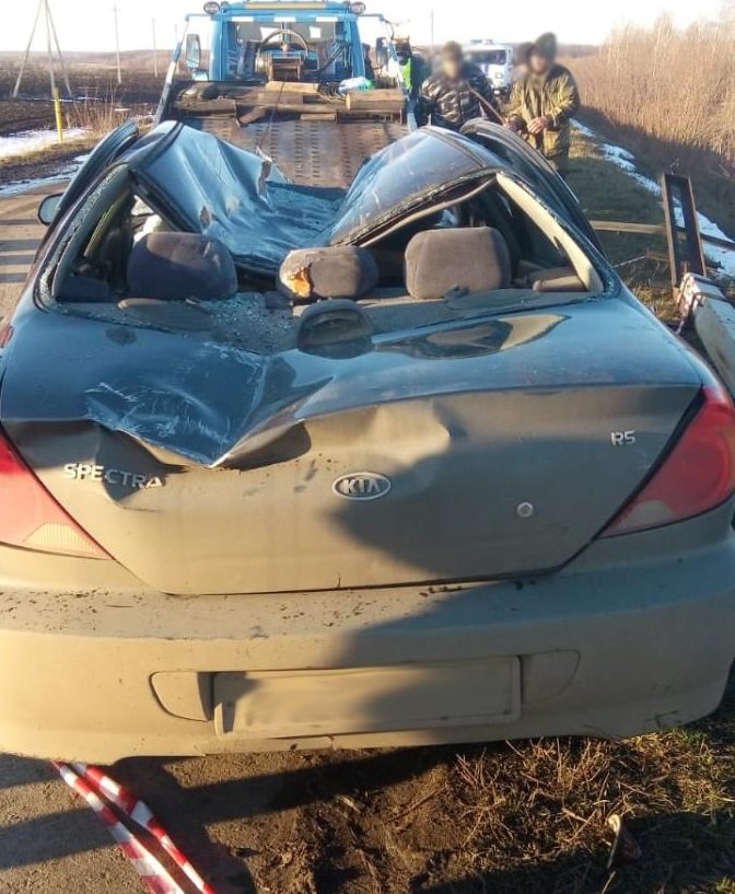 В Тамбовской области водителя иномарки насмерть придавило бетонным столбом, фото-1
